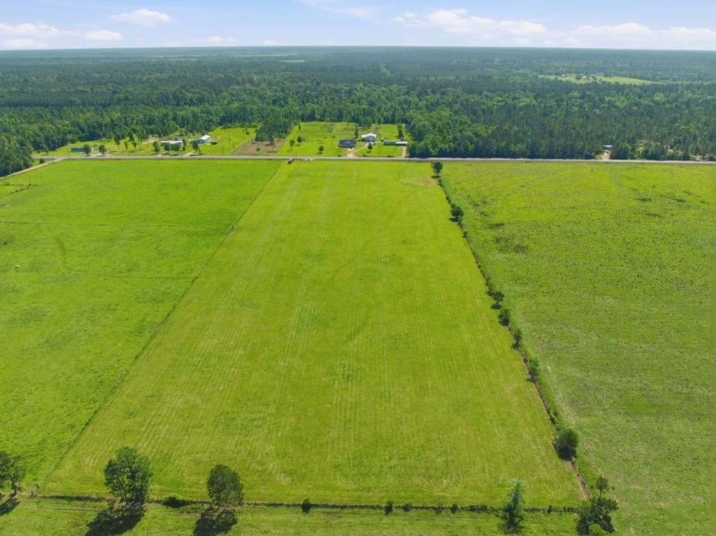 13018 Highway 113 Reeves, LA 70658 - Photo 5 of 7