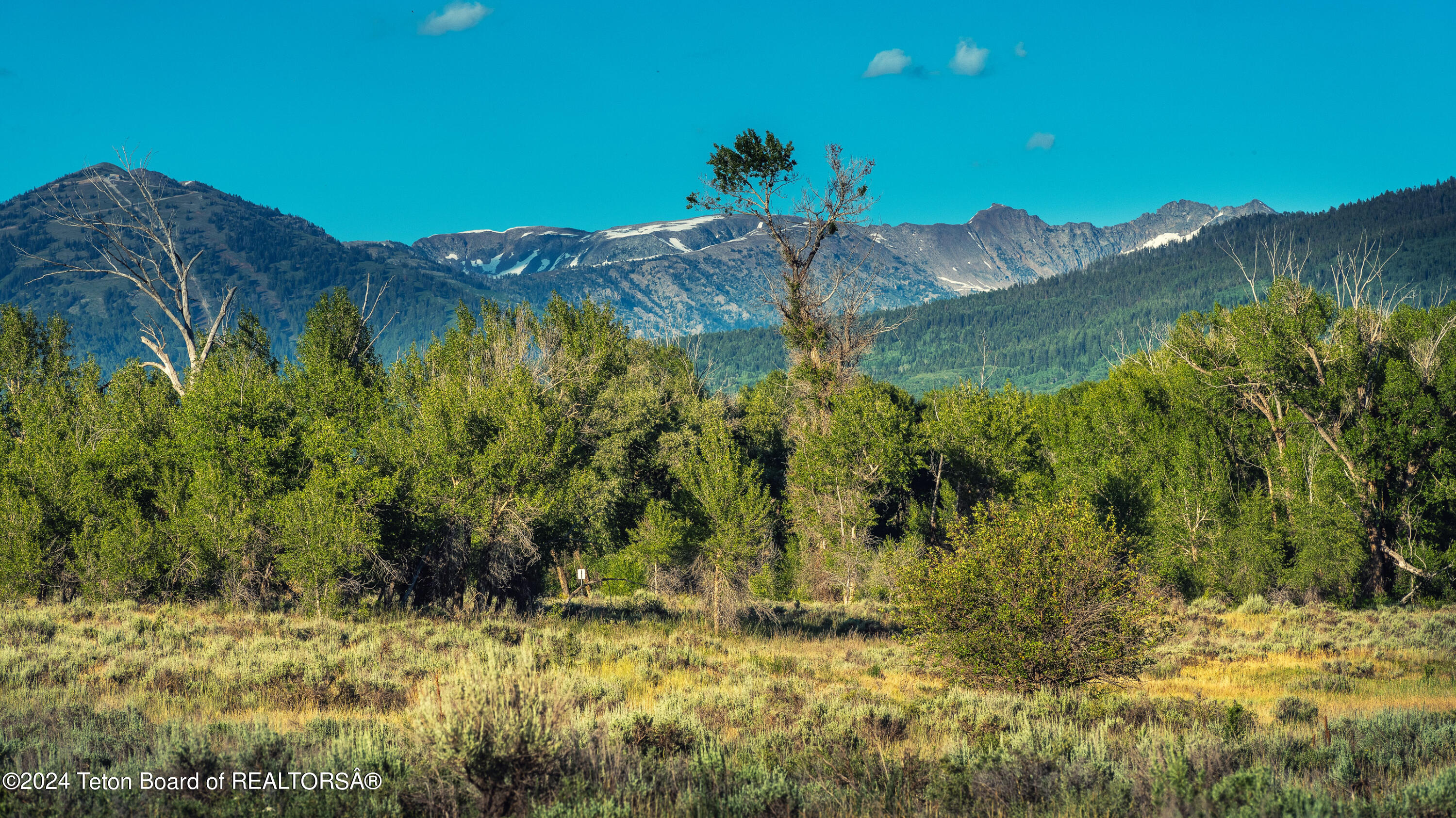 Tbd Ski Hill Road Driggs, ID 83422 - Photo 11 of 26 _DSF0380