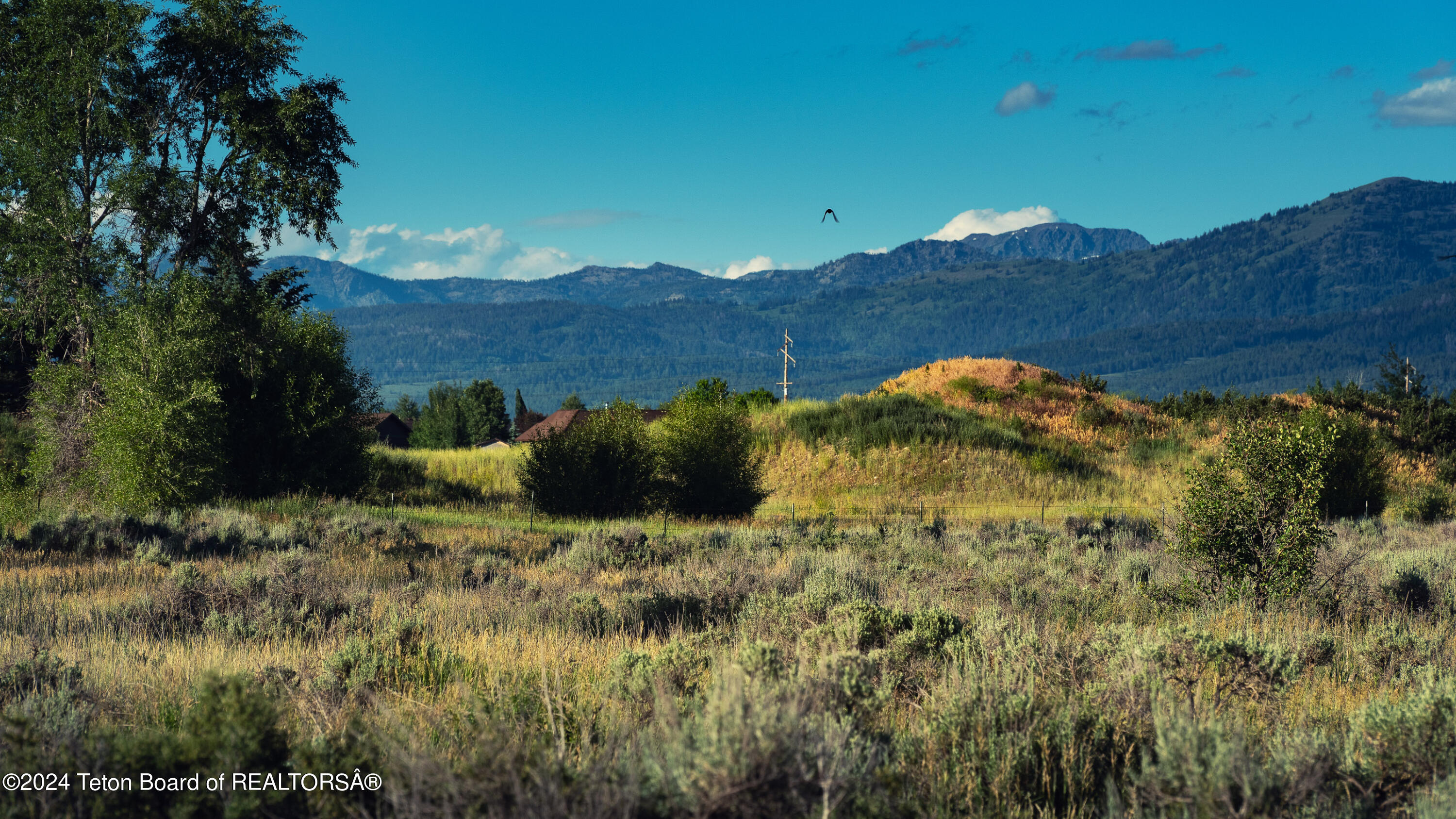 Tbd Ski Hill Road Driggs, ID 83422 - Photo 12 of 26 _DSF0382