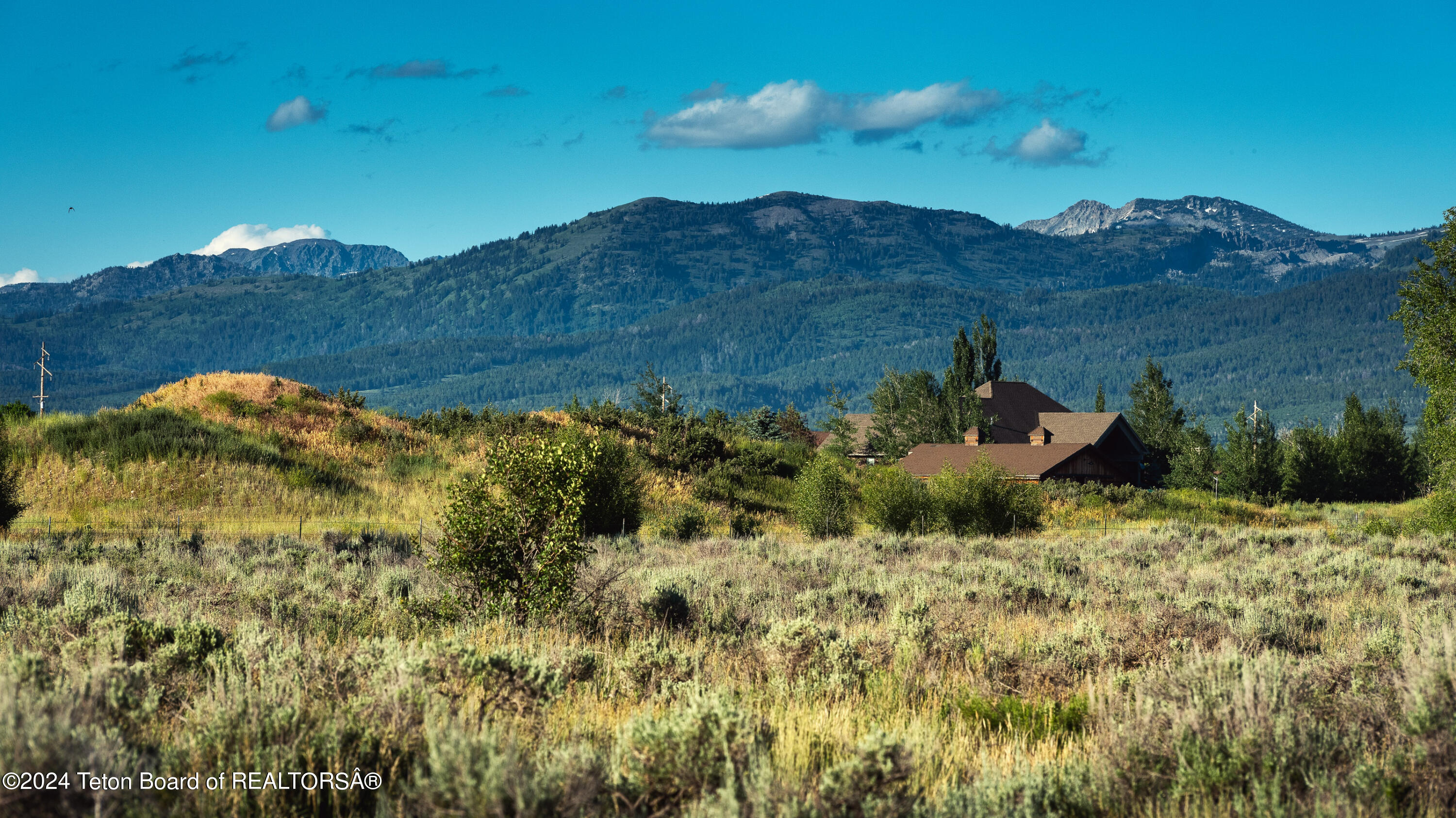 Tbd Ski Hill Road Driggs, ID 83422 - Photo 13 of 26 _DSF0384