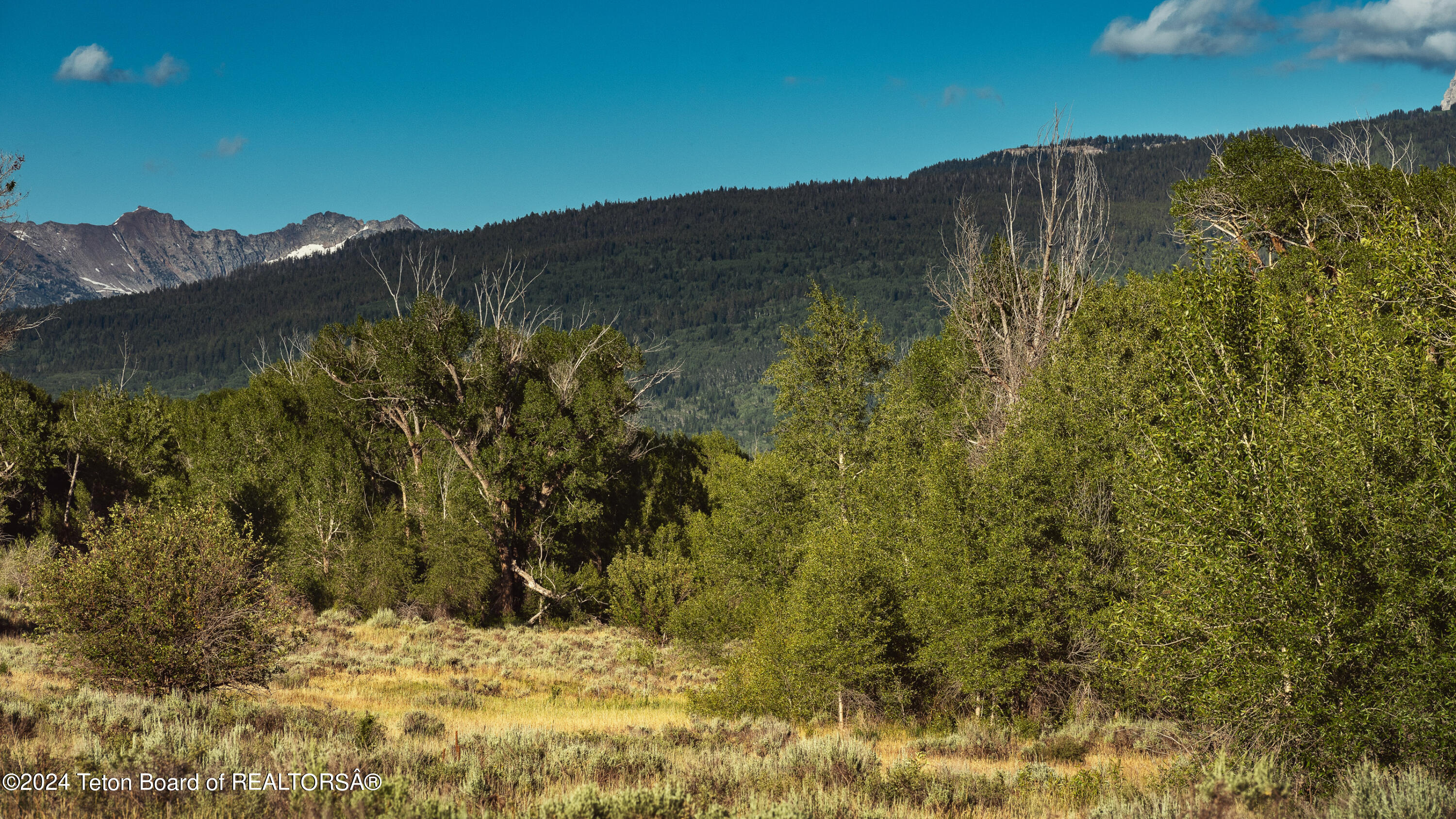 Tbd Ski Hill Road Driggs, ID 83422 - Photo 14 of 26 _DSF0385