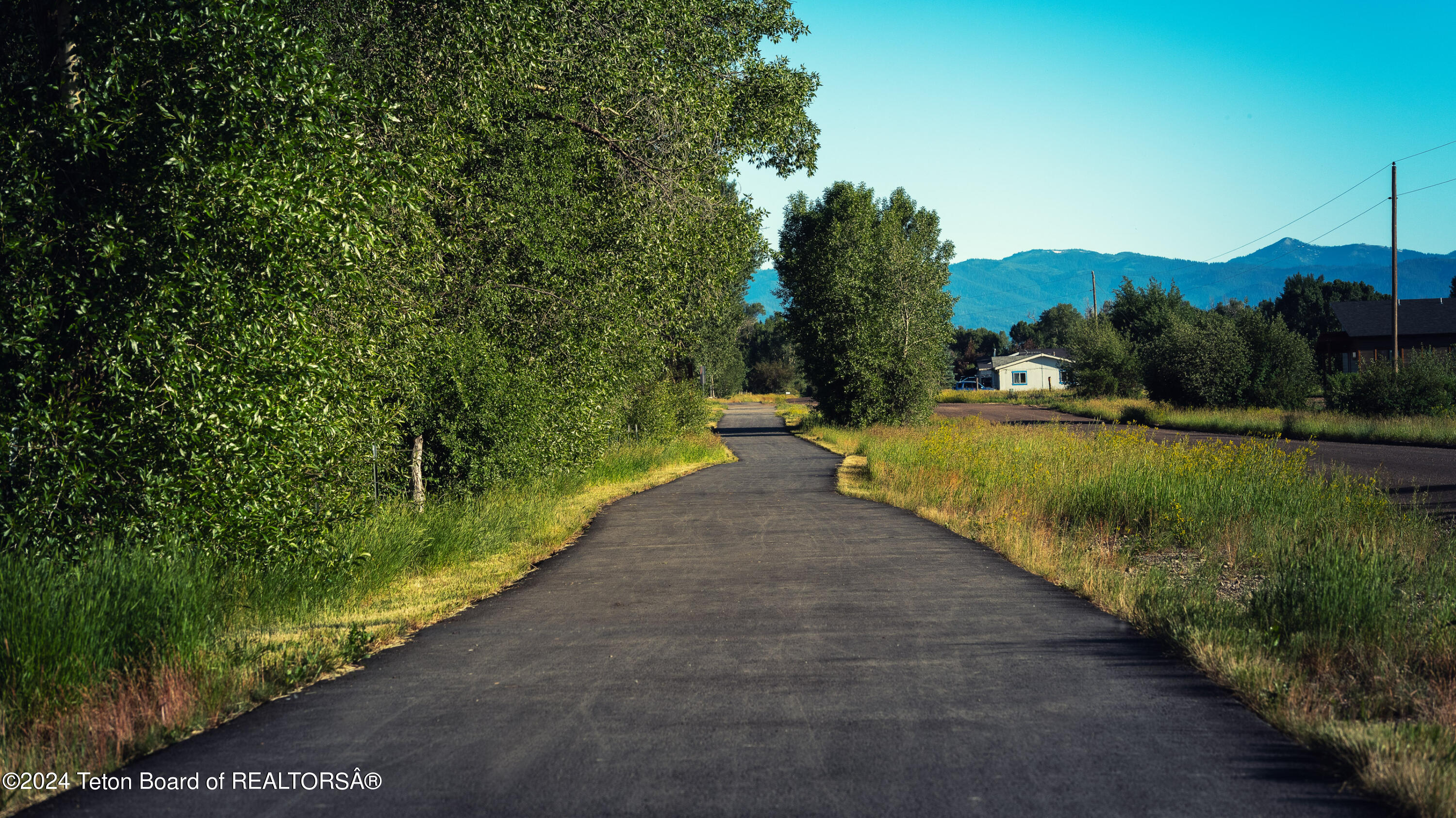 Tbd Ski Hill Road Driggs, ID 83422 - Photo 15 of 26 _DSF0386