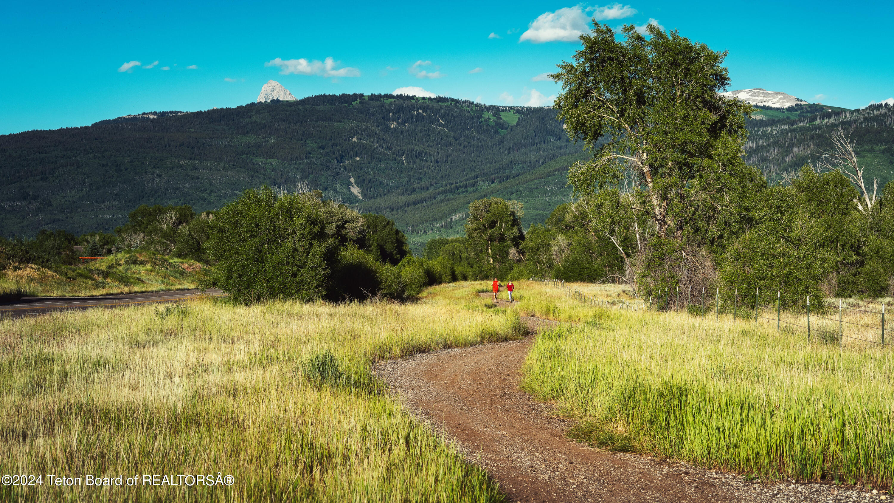 Tbd Ski Hill Road Driggs, ID 83422 - Photo 16 of 26 _DSF0389