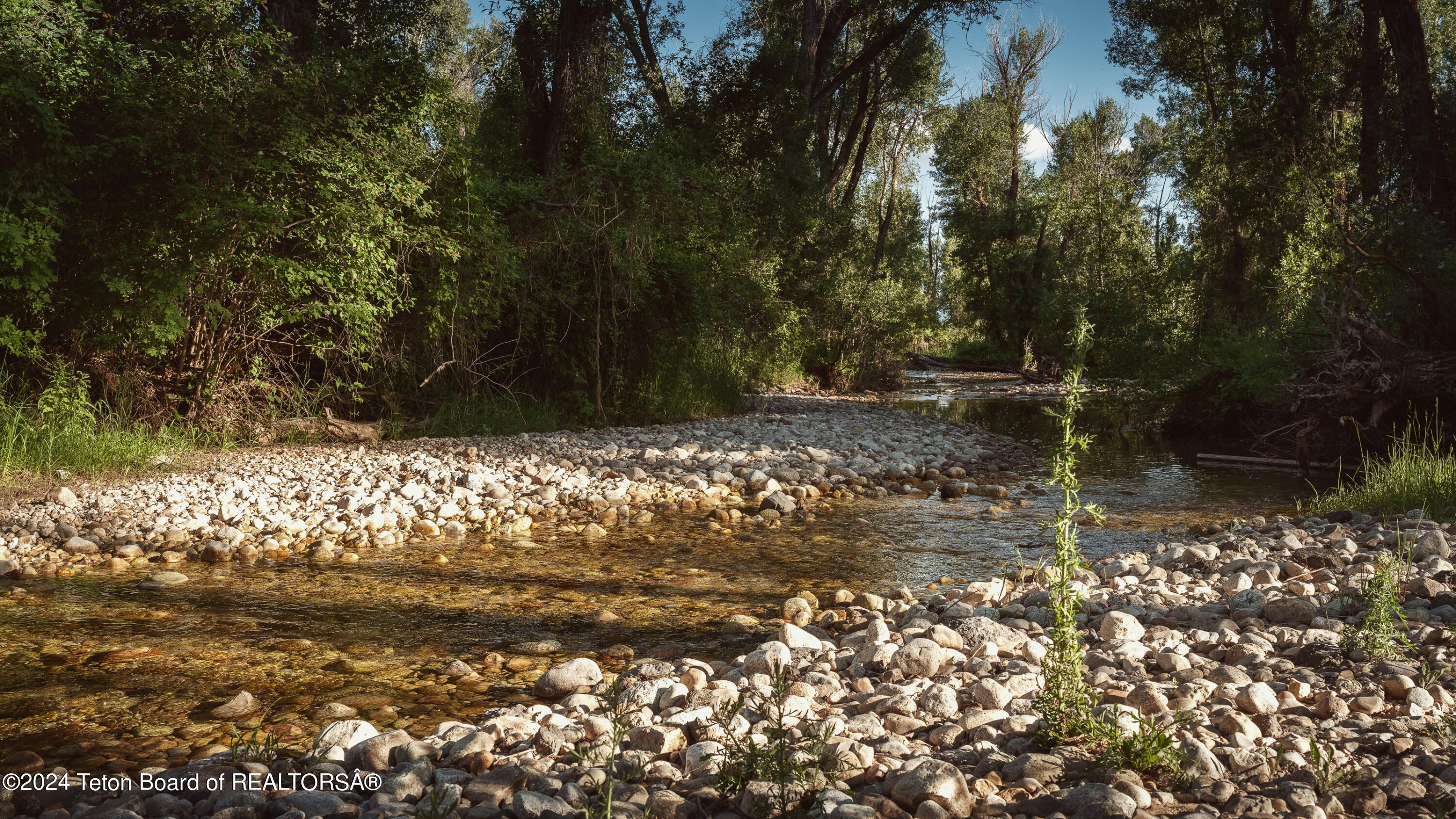 Tbd Ski Hill Road Driggs, ID 83422 - Photo 5 of 26 _DSF0367