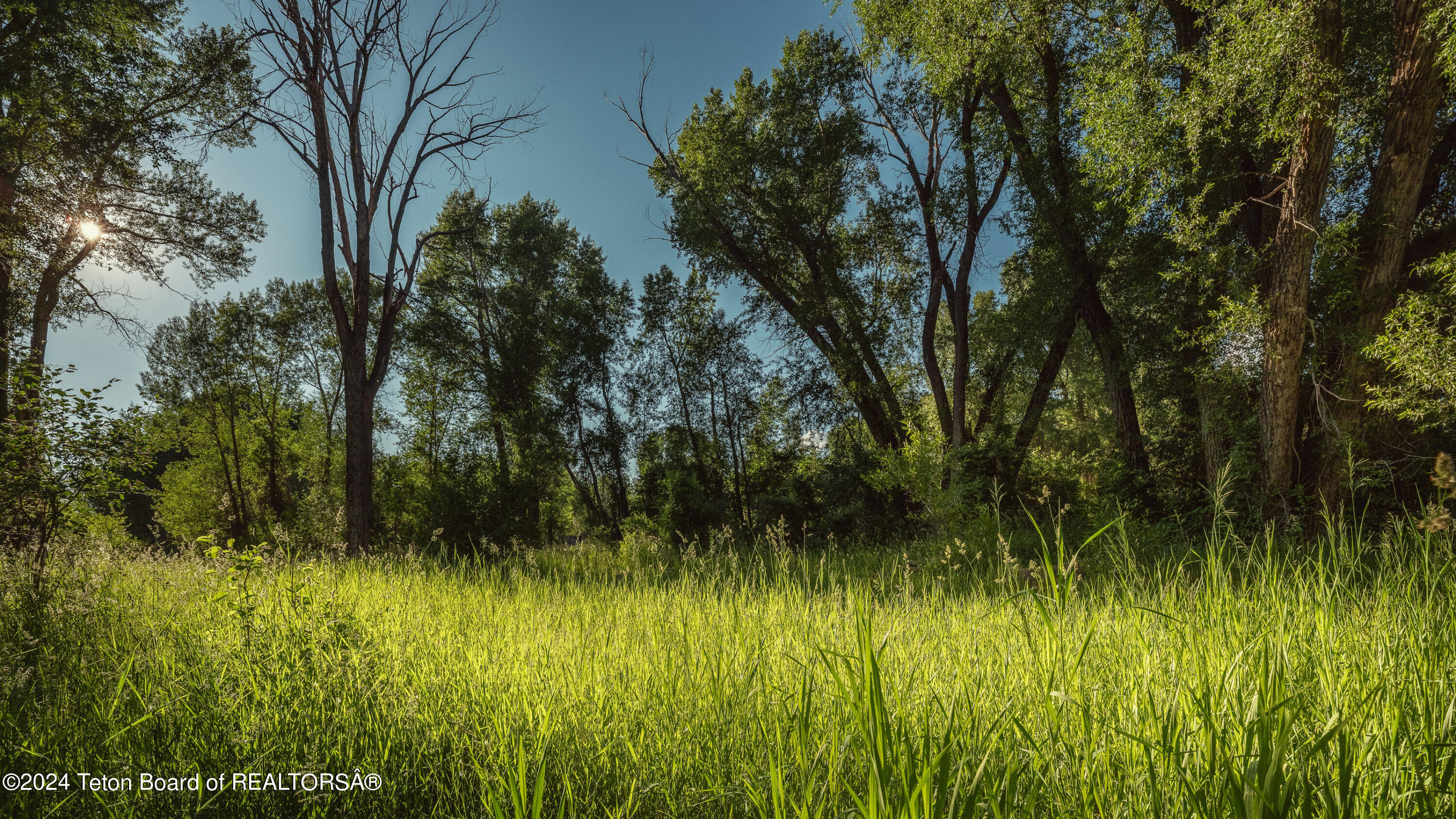Tbd Ski Hill Road Driggs, ID 83422 - Photo 6 of 26 _DSF0370