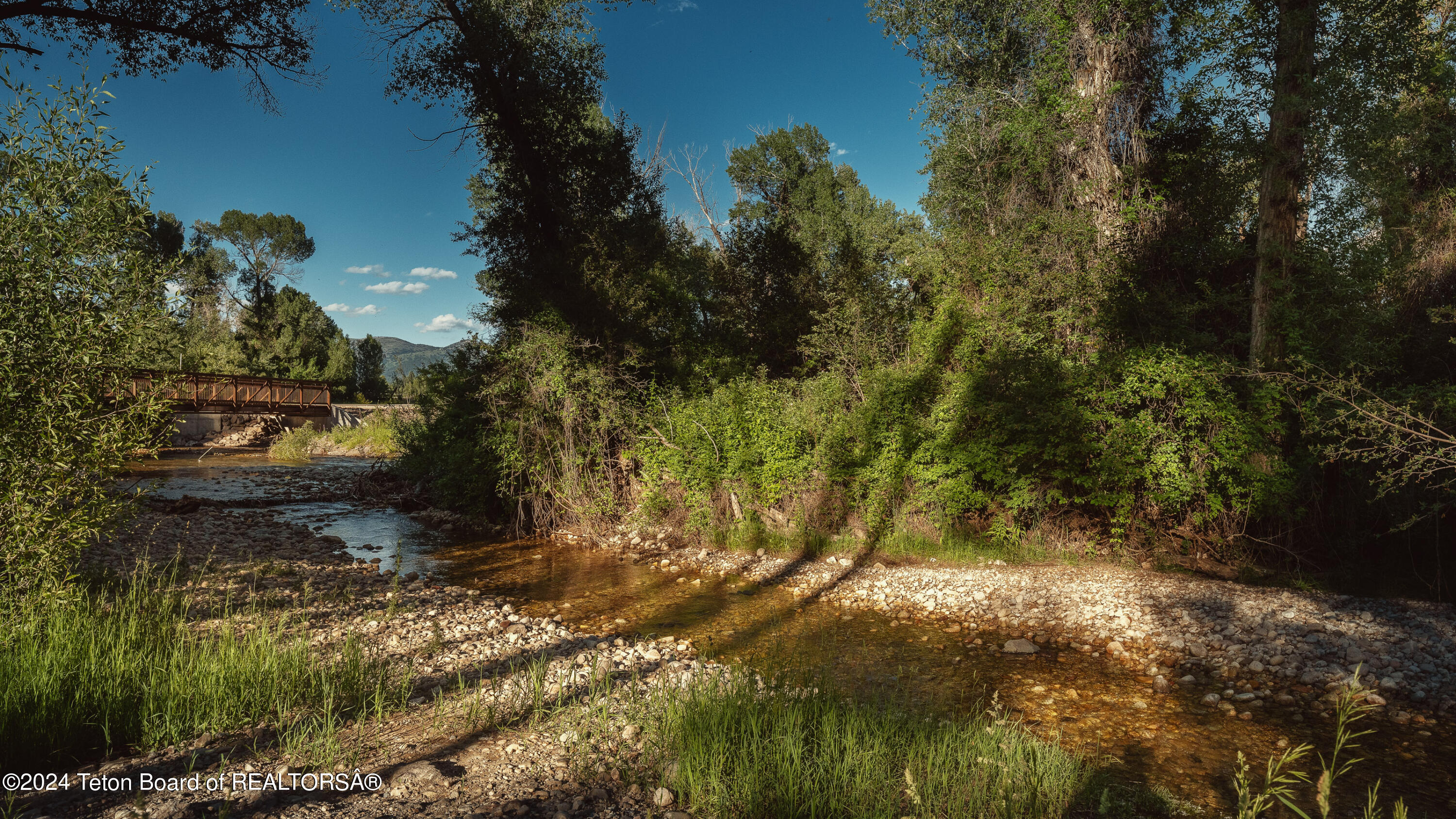 Tbd Ski Hill Road Driggs, ID 83422 - Photo 7 of 26 _DSF0371