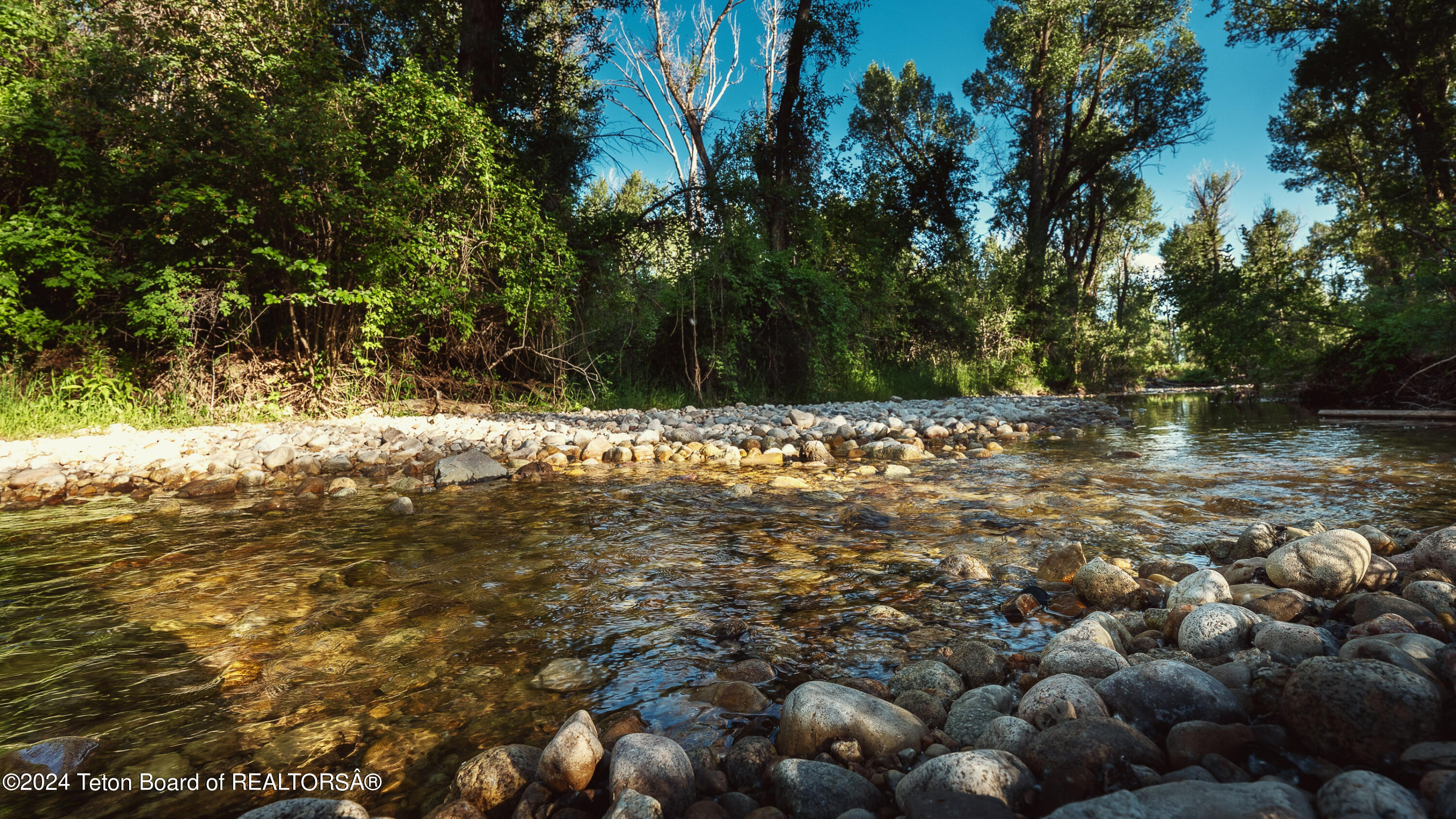 Tbd Ski Hill Road Driggs, ID 83422 - Photo 8 of 26 _DSF0374