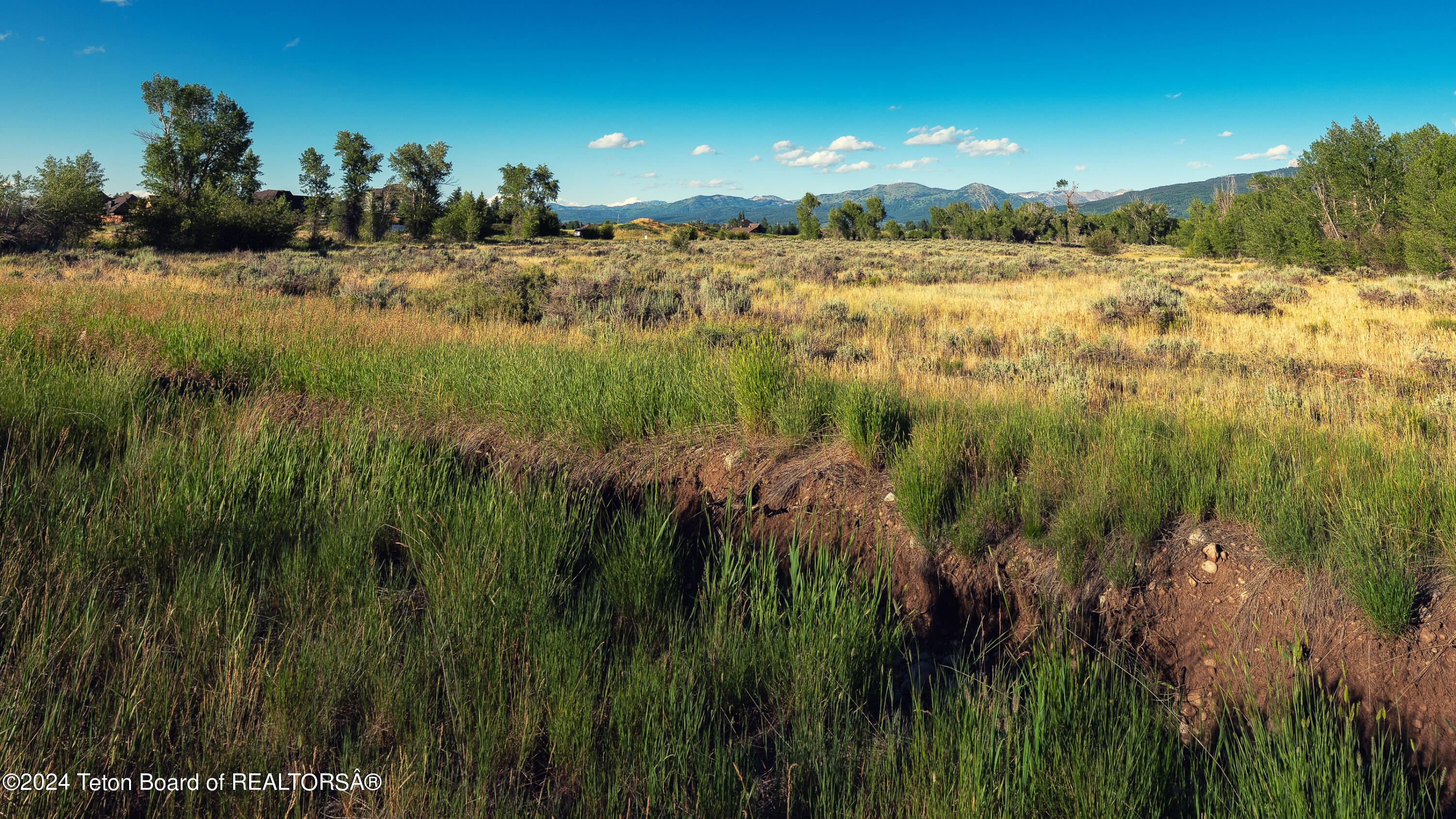 Tbd Ski Hill Road Driggs, ID 83422 - Photo 9 of 26 _DSF0378