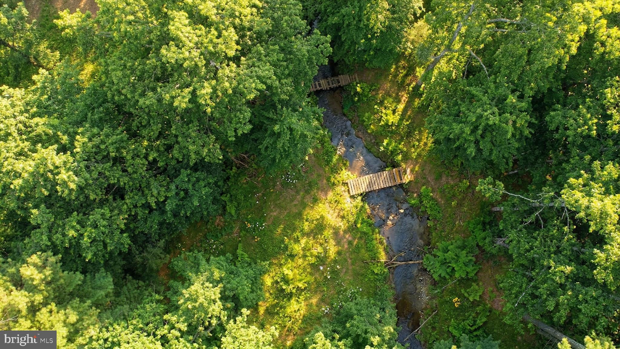 2571 Shady Dell Road Oakland, MD 21550 - Photo 48 of 60 a view of a tree
