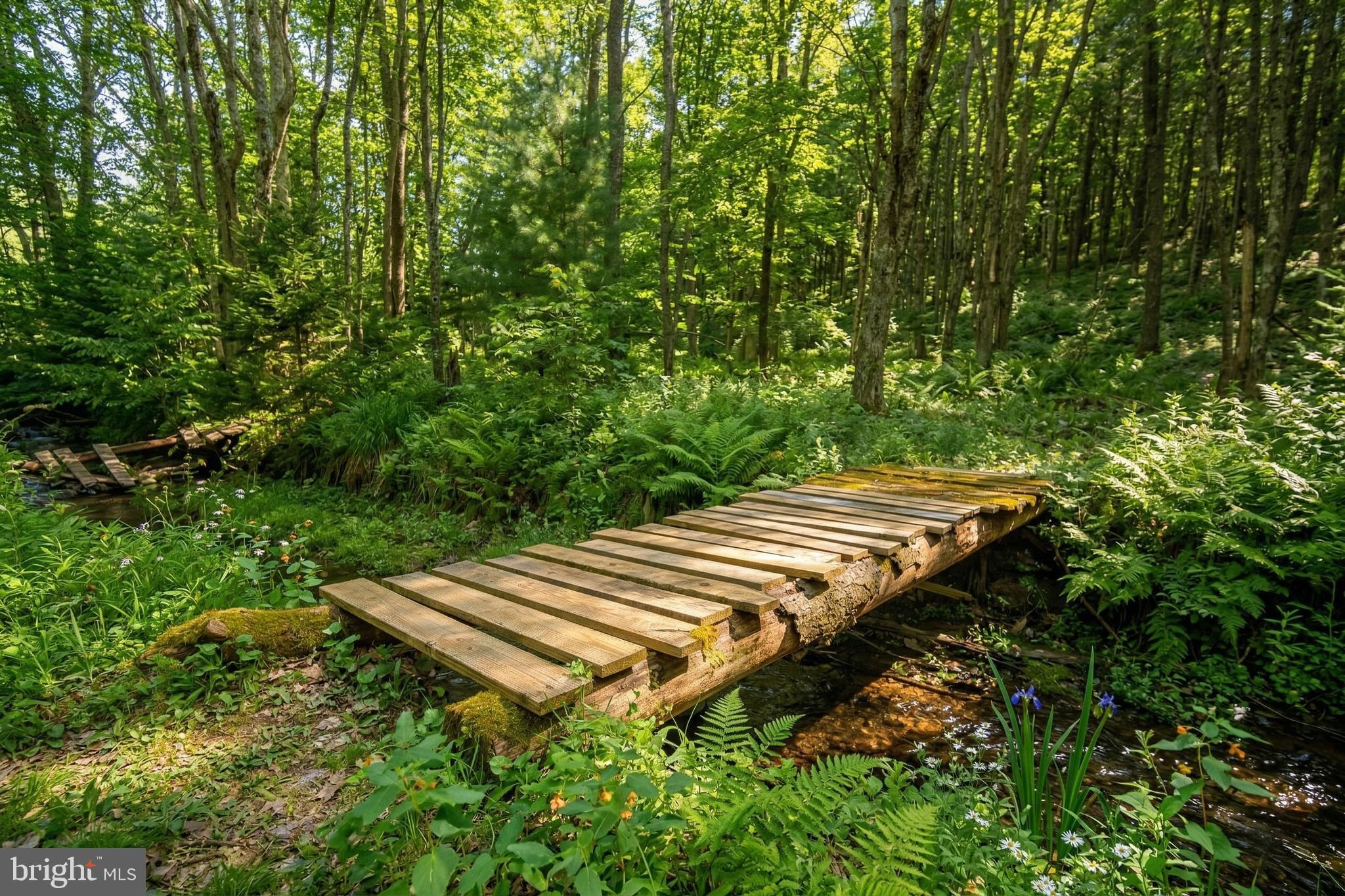 2571 Shady Dell Road Oakland, MD 21550 - Photo 49 of 60 a view of a backyard with sitting area