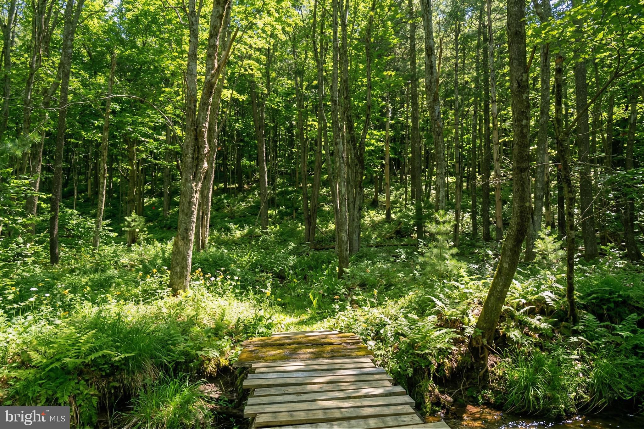 2571 Shady Dell Road Oakland, MD 21550 - Photo 50 of 60 a view of a yard