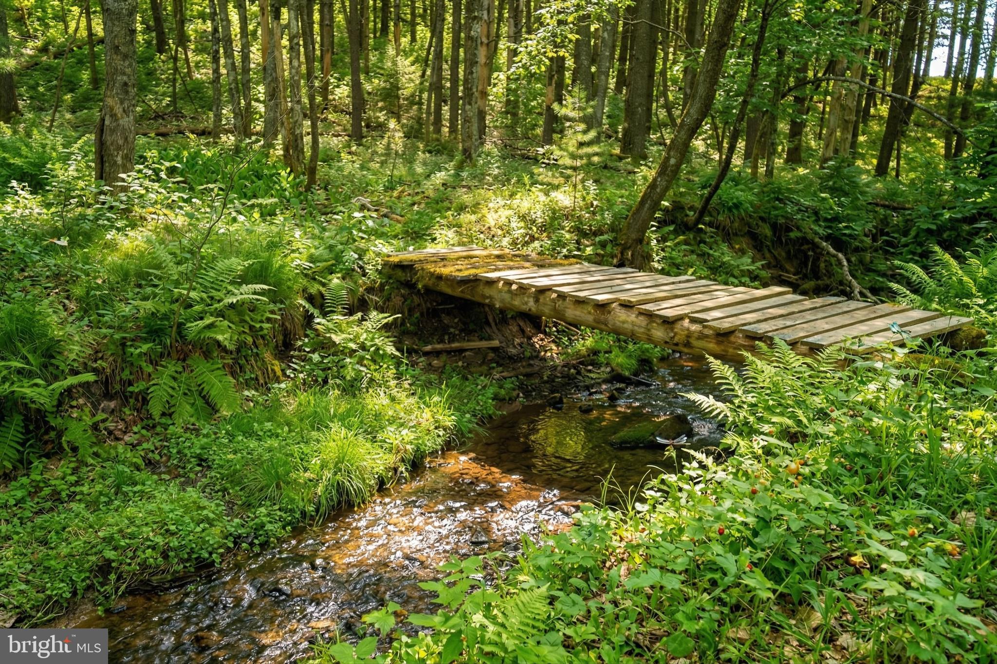 2571 Shady Dell Road Oakland, MD 21550 - Photo 52 of 60 a backyard of a house with a yard and outdoor seating