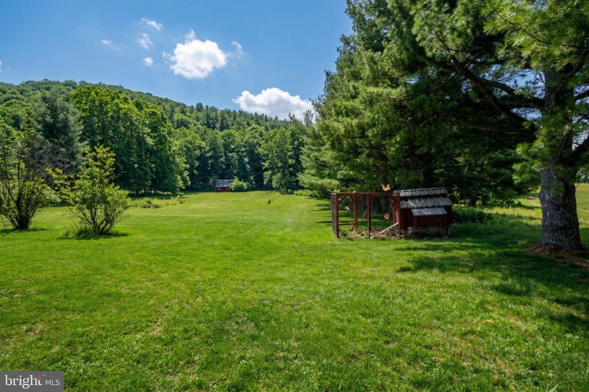 2571 Shady Dell Road Oakland, MD 21550 - Photo 53 of 60 a view of a house with a backyard
