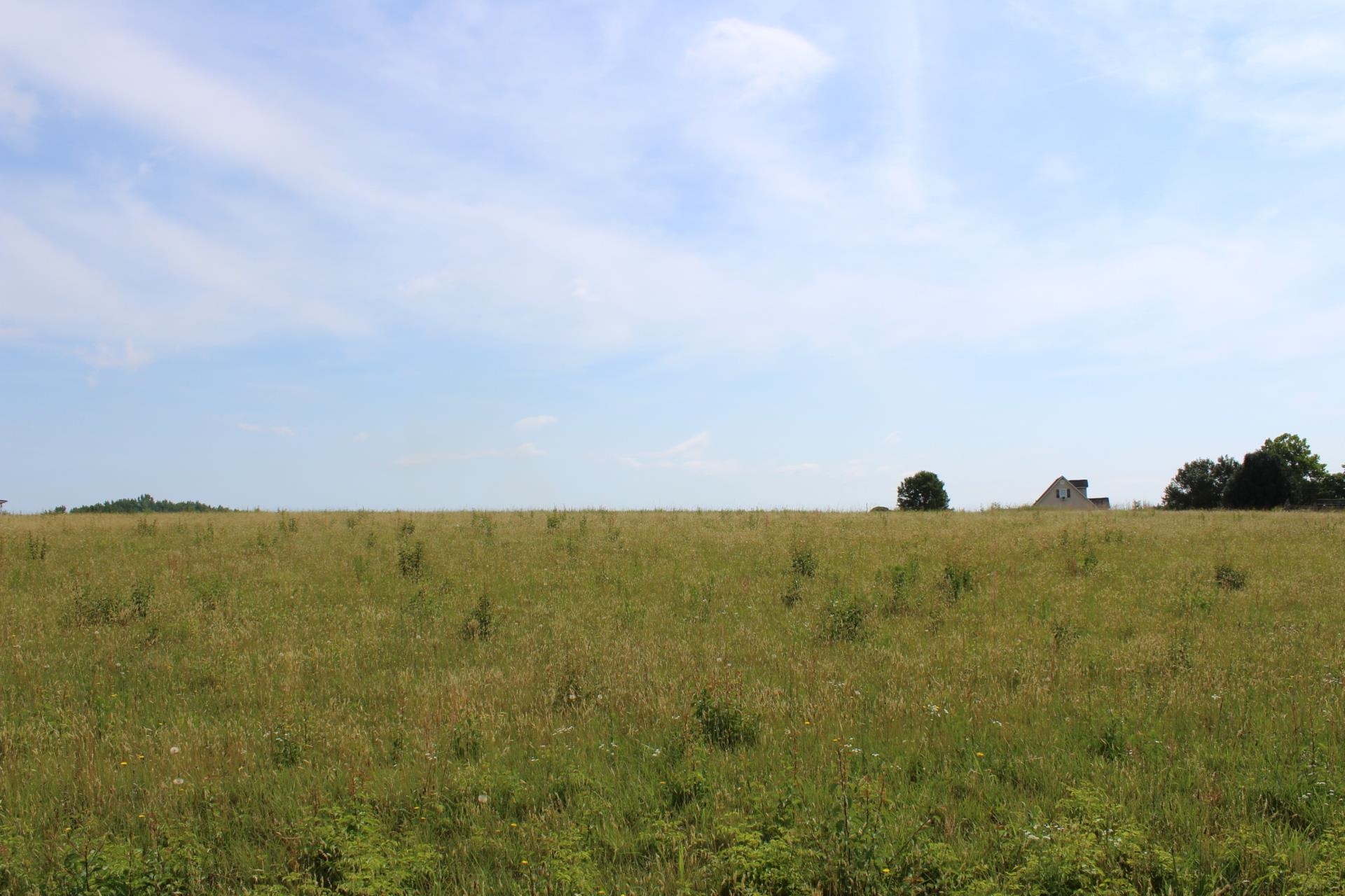 Lot 2 Lambs Grill Road Rutherfordton, NC 28139 - Photo 2 of 20