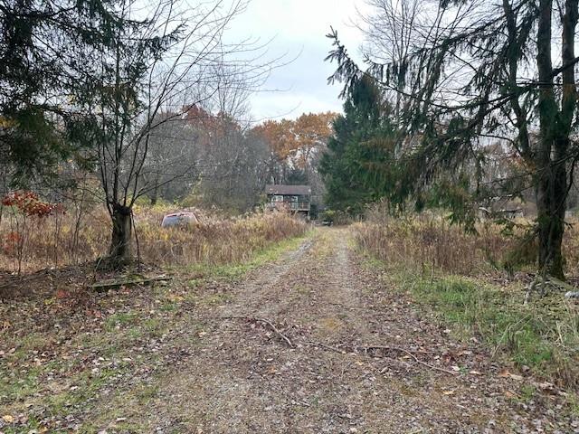 244 Hilltop Acres Road Slippery Rock, PA 16057 - Photo 1 of 12 a view of a yard with trees