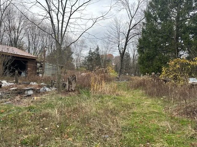a backyard of a house with lots of green space