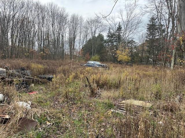 244 Hilltop Acres Road Slippery Rock, PA 16057 - Photo 3 of 12 a view of a yard