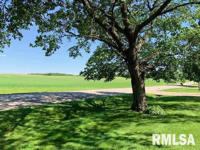 406 Meltzer Street Walnut, IL 61376 - Photo 6 of 20 Gallery Image 6