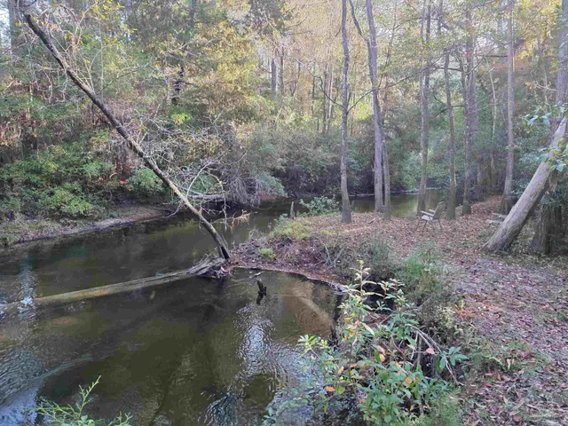 a view of a yard with a tree