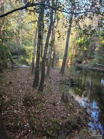 a view of outdoor space and yard