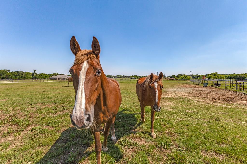 9940 Cole Road Pilot Point, TX 76258 - Photo 23 of 39