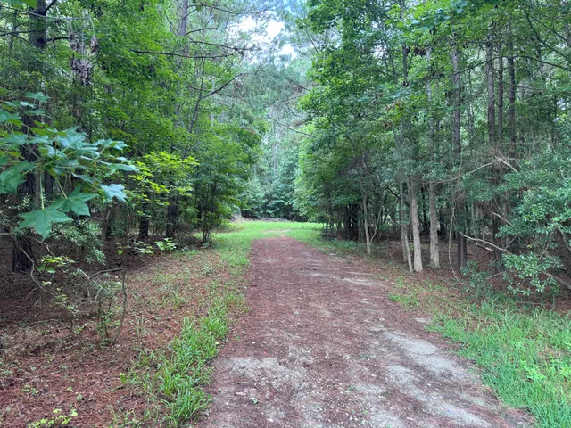 $200,000 | 2251 Turkey Hill Road, Johns Island, SC 29455