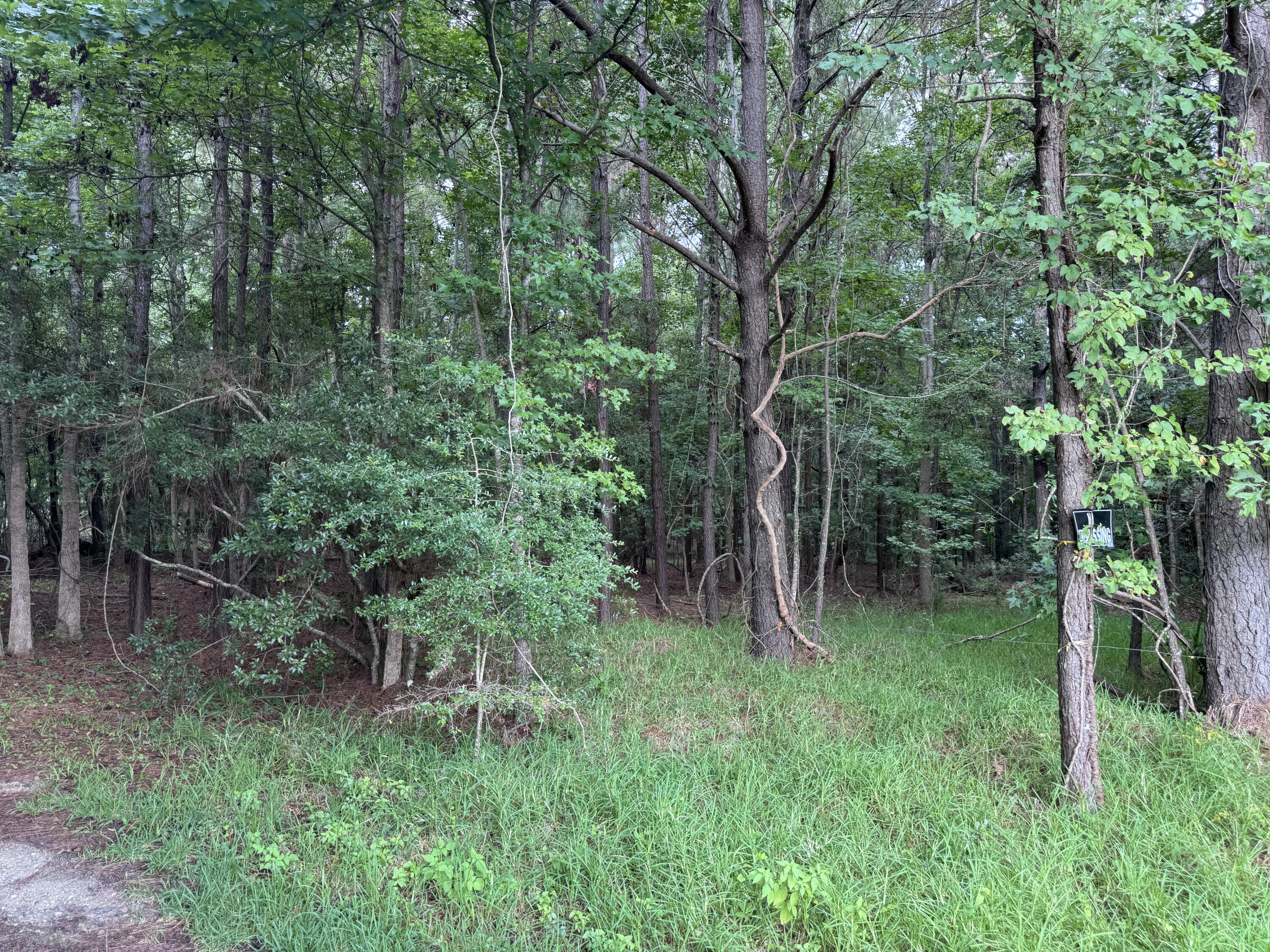 2251 Turkey Hill Road Johns Island, SC 29455 - Photo 4 of 11 4