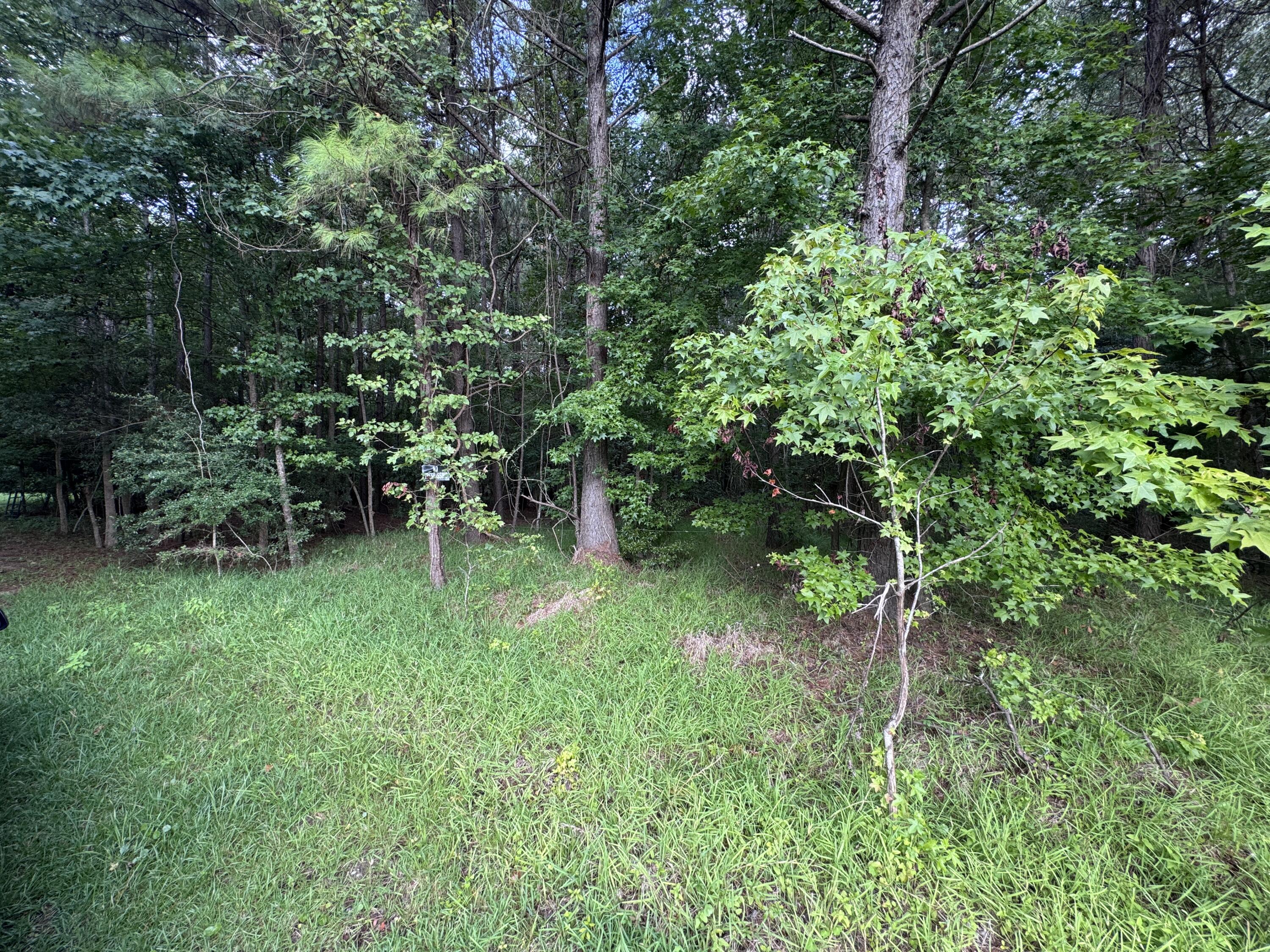 2251 Turkey Hill Road Johns Island, SC 29455 - Photo 5 of 11 5