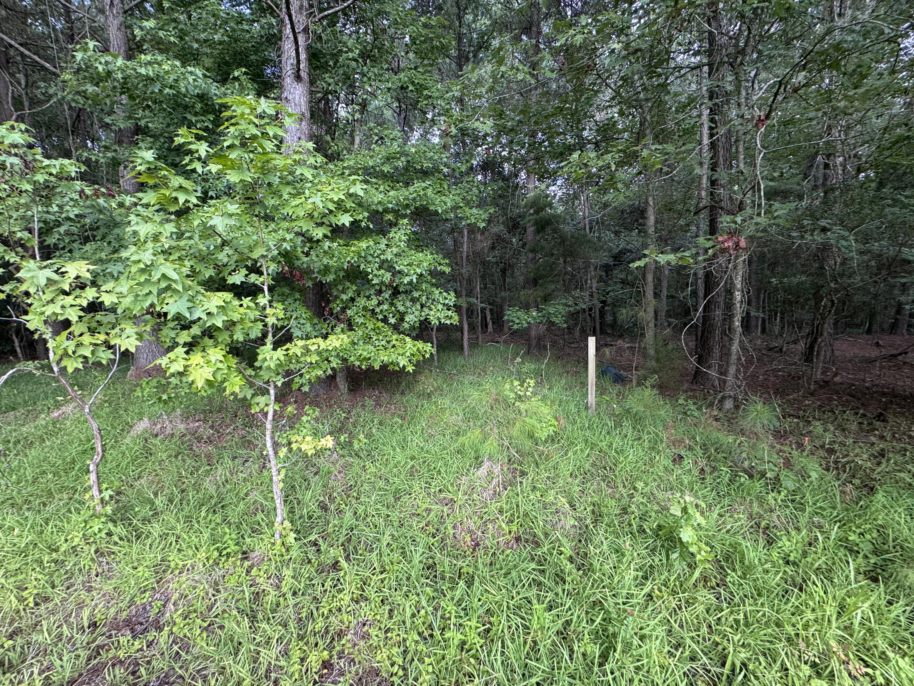 2251 Turkey Hill Road Johns Island, SC 29455 - Photo 7 of 11 7