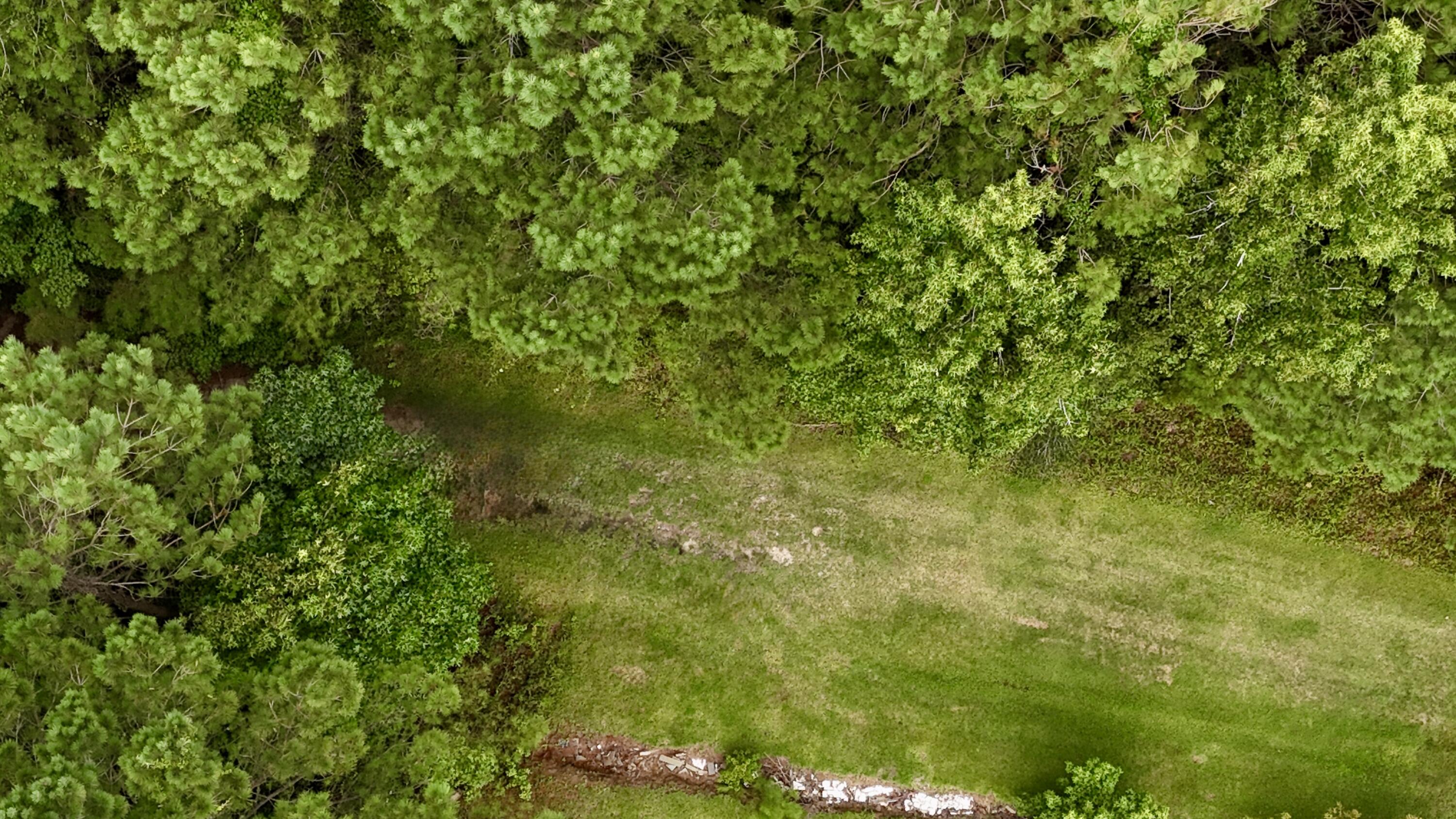 2251 Turkey Hill Road Johns Island, SC 29455 - Photo 9 of 11 9