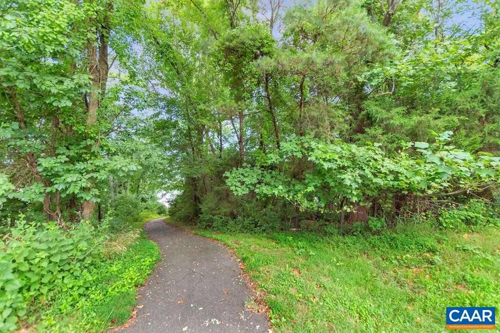 435 Rolkin Road Charlottesville, VA 22911 - Photo 39 of 56 a view of a yard with plants and a small yard