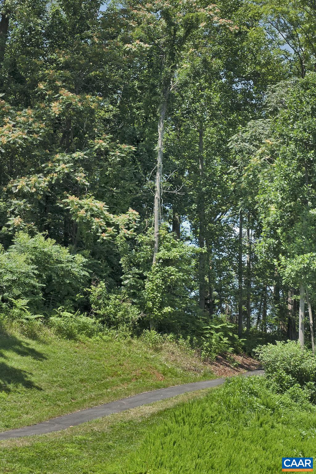 435 Rolkin Road Charlottesville, VA 22911 - Photo 40 of 56