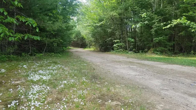 $1,700 | 19 Saco Street, Unit 57, Conway, NH 03813