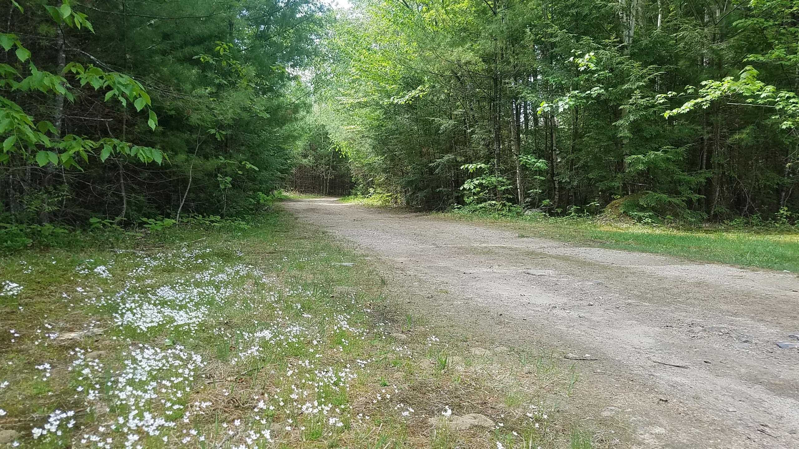 19 Saco Street, Unit 57 Conway, NH 03813 - Photo 24 of 27