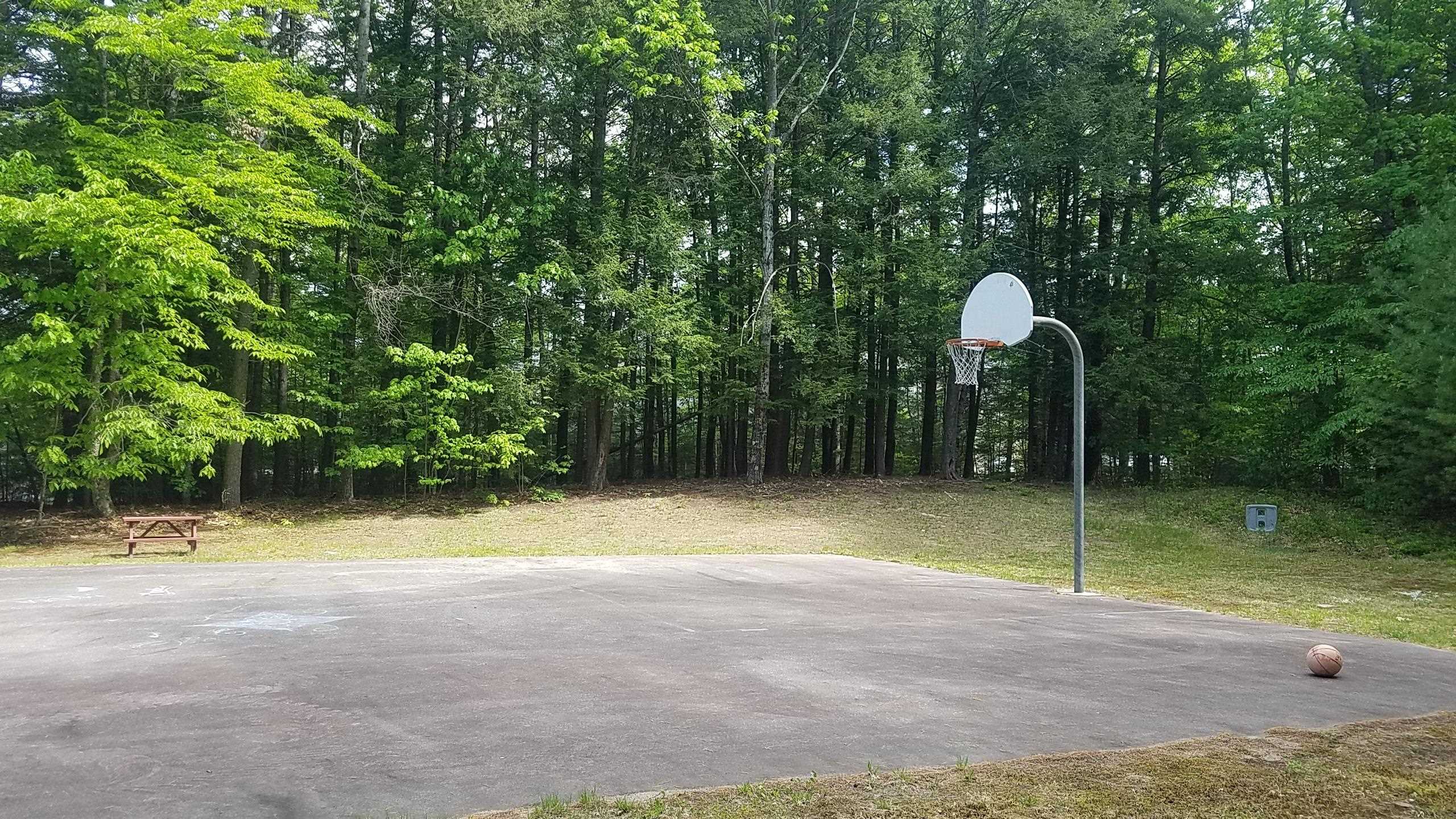 19 Saco Street, Unit 57 Conway, NH 03813 - Photo 26 of 27