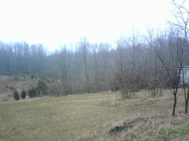a view of a yard