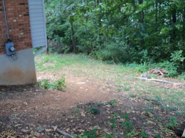 110 Deep Dell Road Salem, VA 24153 - Photo 14 of 15 Back Yard