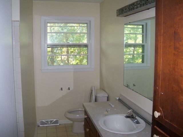 110 Deep Dell Road Salem, VA 24153 - Photo 5 of 15 Full Hall Bath