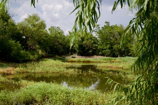 345 Butler Loop Graham, TX 76450 - Photo 19 of 28 Gallery Image 19