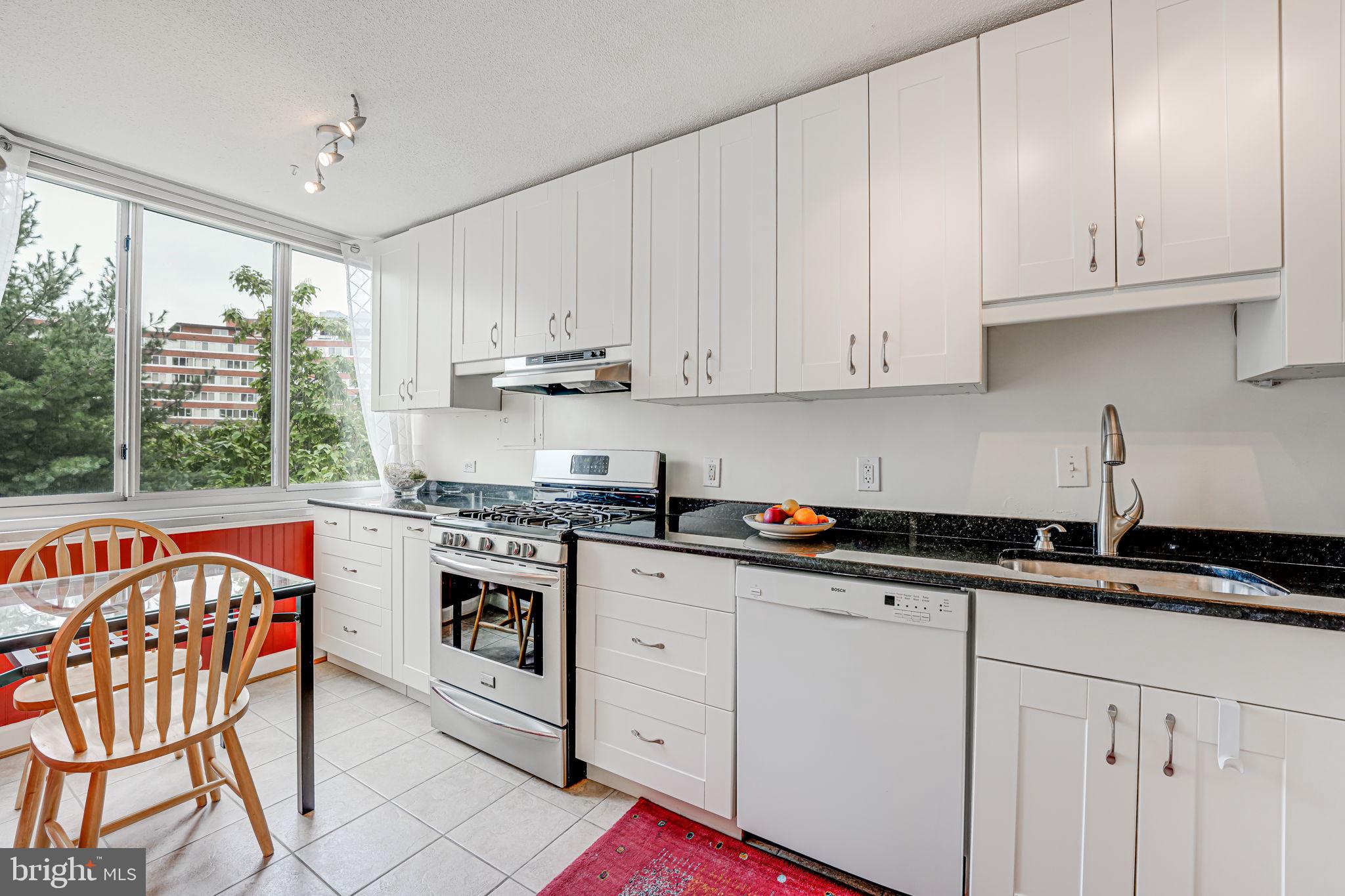 1301 South Arlington Ridge Road, Unit 302 Arlington, VA 22202 - Photo 19 of 28 Roomy gallery kitchen fits small breakfast table.