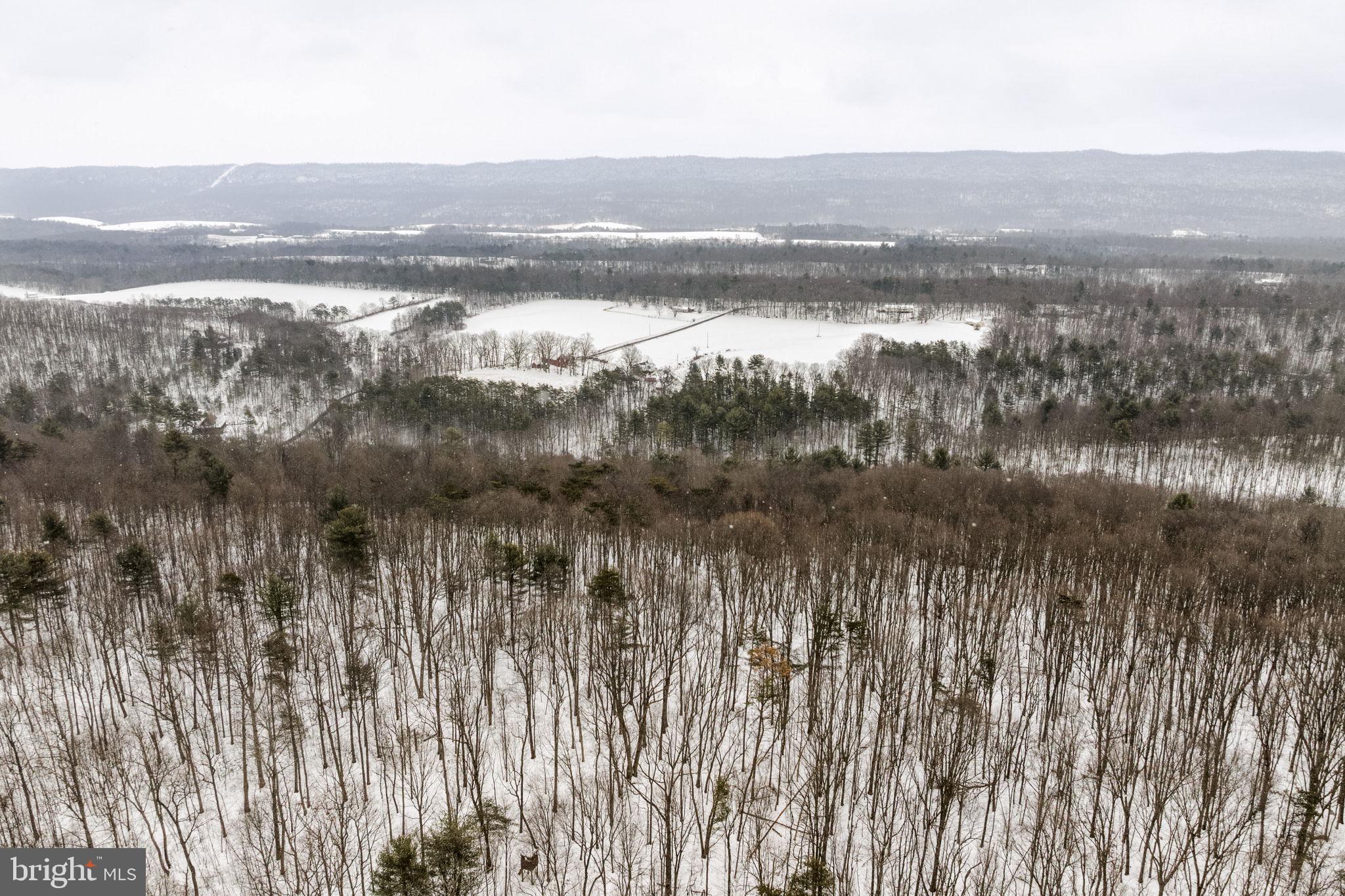 22314 Miller Road Shade Gap, PA 17255 - Photo 7 of 73 a view of lake view and mountain