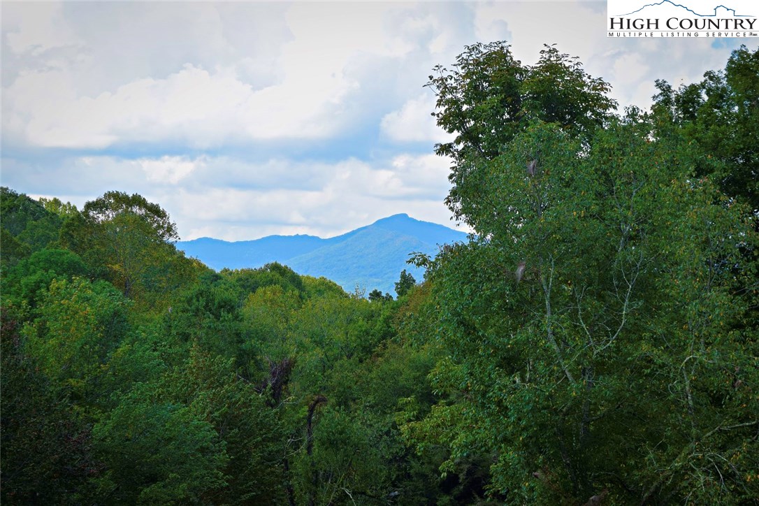 250 Ascot Lane Boone, NC 28607 - Photo 2 of 44 a view of a bunch of trees