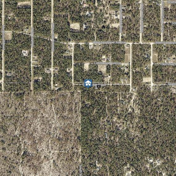 2 Chickadee Road Brooksville, FL 34614 - Photo 3 of 4