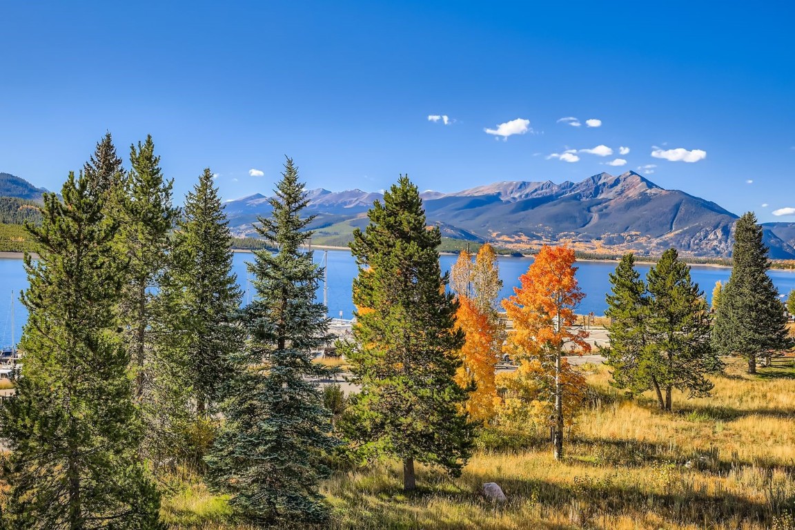 160 La Bonte Street, Unit 306 Dillon, CO 80435 - Photo 1 of 47 a view of a houses with a yard