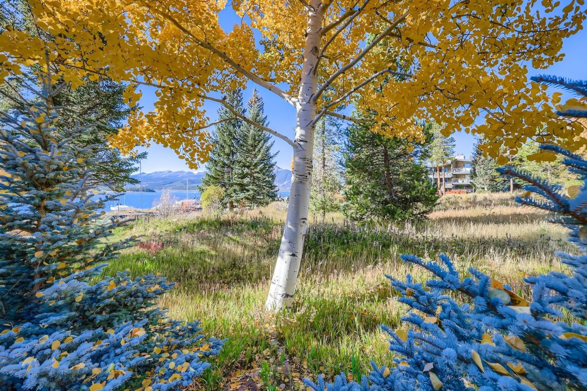 160 La Bonte Street, Unit 306 Dillon, CO 80435 - Photo 26 of 47 a view of a lake with houses