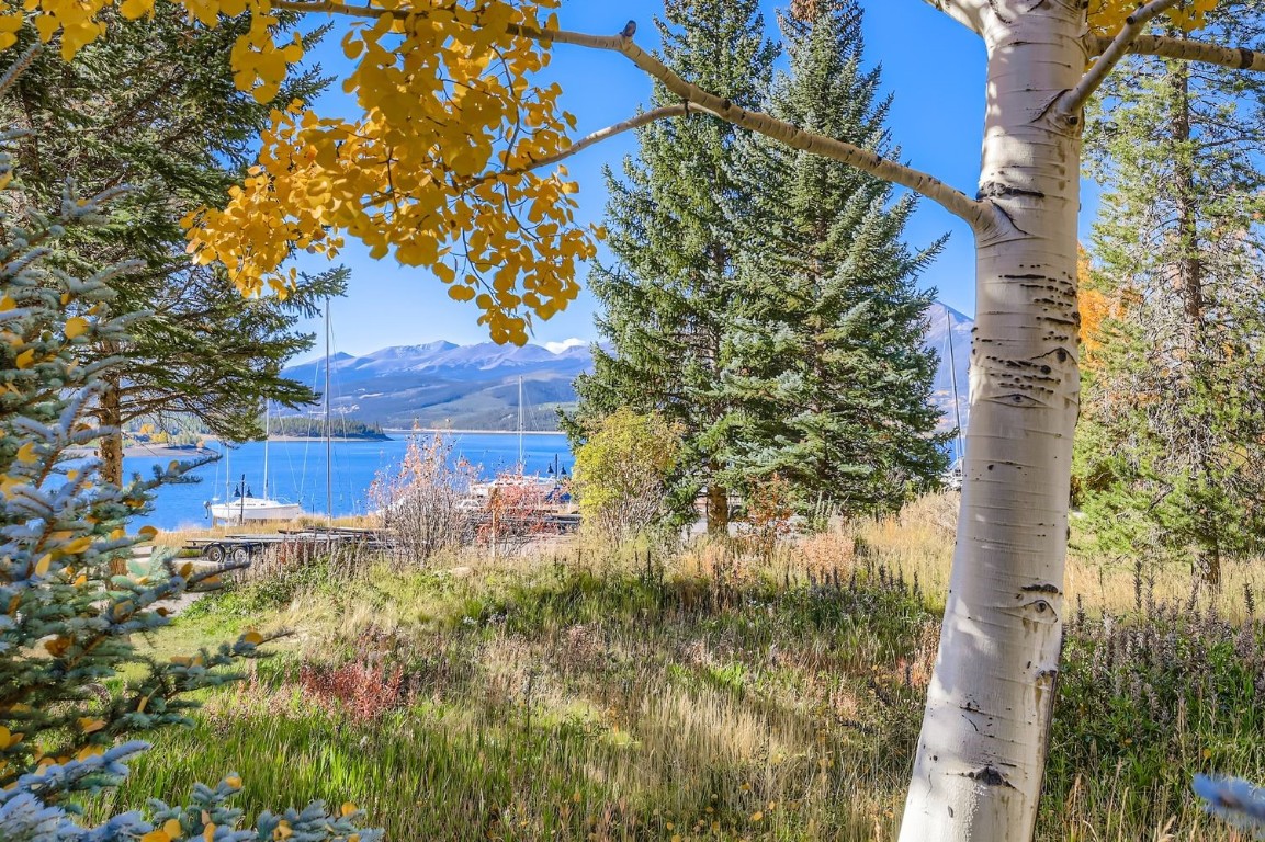 160 La Bonte Street, Unit 306 Dillon, CO 80435 - Photo 27 of 47 a backyard of a house with lots of green space