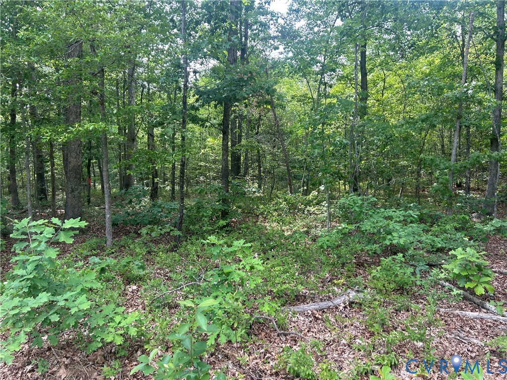 Tbd Jones Farm Road Montpelier, VA 23192 - Photo 6 of 6