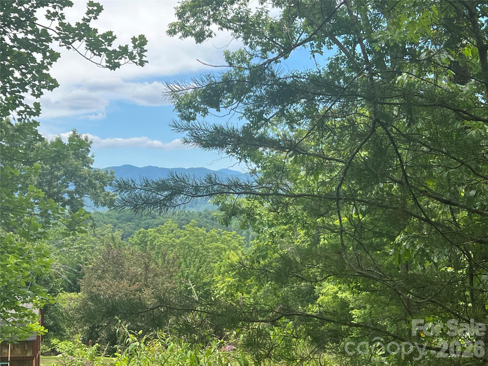 366 Dobsons Knob Loop Road, Unit 7 Marion, NC 28752 - Photo 2 of 21 Gallery Image 2