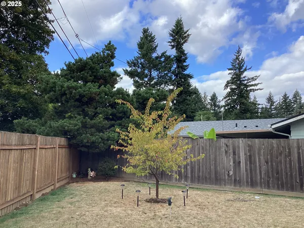 a view of yard with large tree