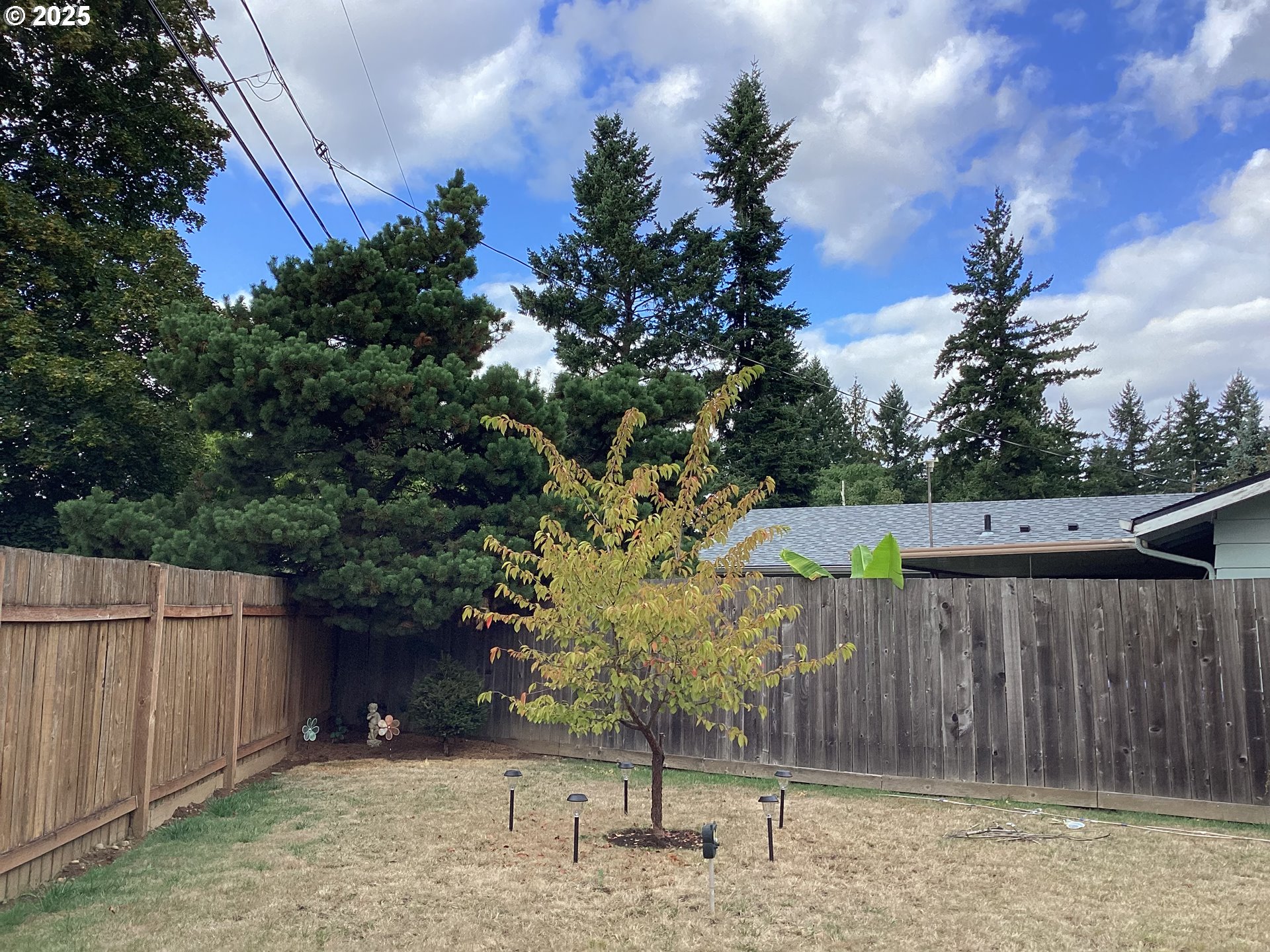 17706 Southeast Washington Street Portland, OR 97233 - Photo 33 of 34 a view of a backyard